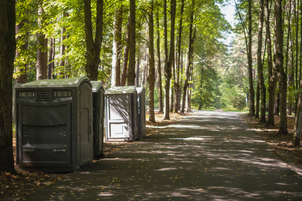 Portable Toilet Options We Offer in Wolfdale, PA